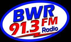 BlueWaterRadio logo only