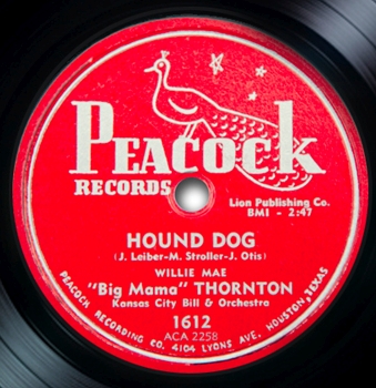126 hound dog